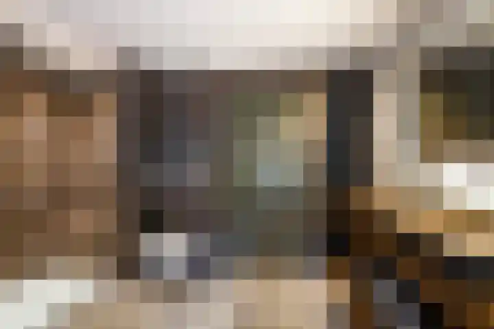 Kerkstraat 6 Sprang-Capelle thumbnail 32