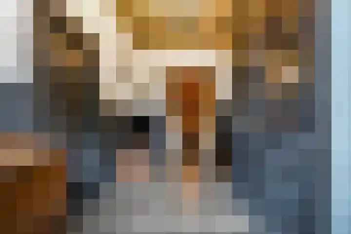 Kerkstraat 6 Sprang-Capelle thumbnail 37