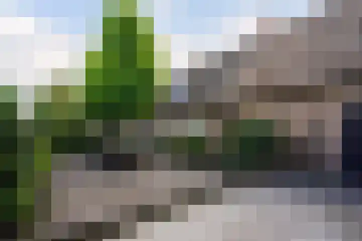 Kerkstraat 6 Sprang-Capelle thumbnail 4