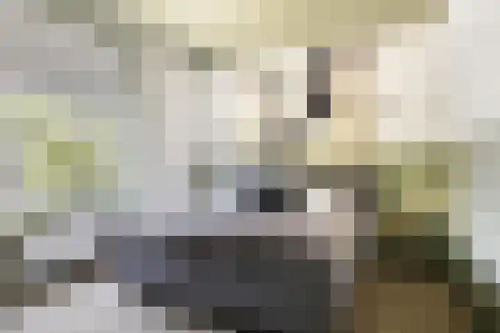 Kerkstraat 6 Sprang-Capelle thumbnail 60