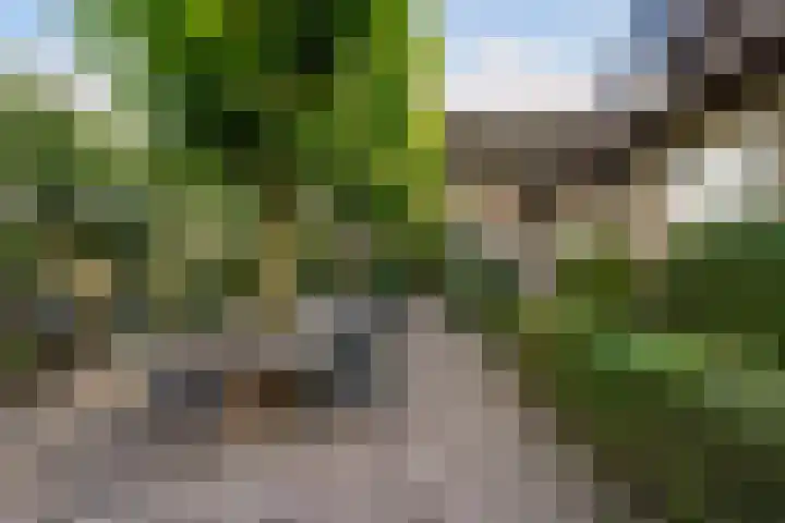Kerkstraat 6 Sprang-Capelle thumbnail 65