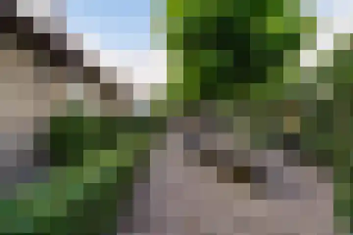 Kerkstraat 6 Sprang-Capelle thumbnail 66