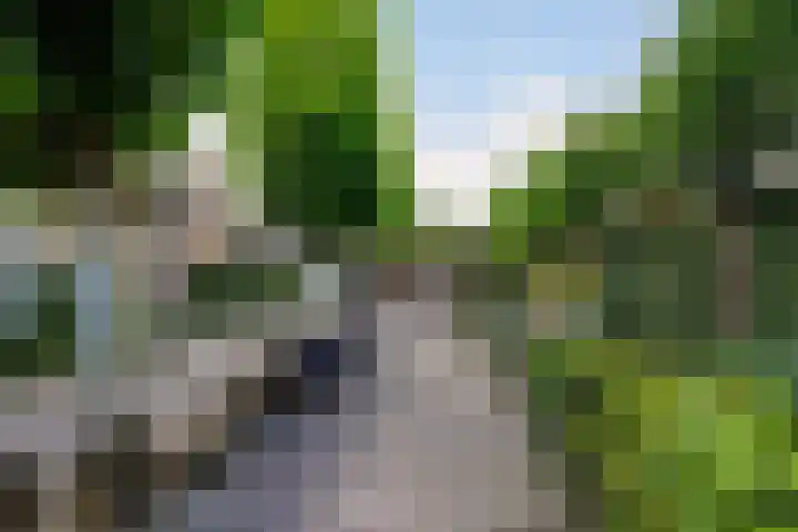 Kerkstraat 6 Sprang-Capelle thumbnail 67
