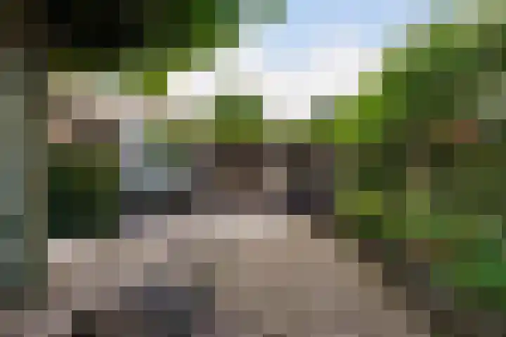Kerkstraat 6 Sprang-Capelle thumbnail 68