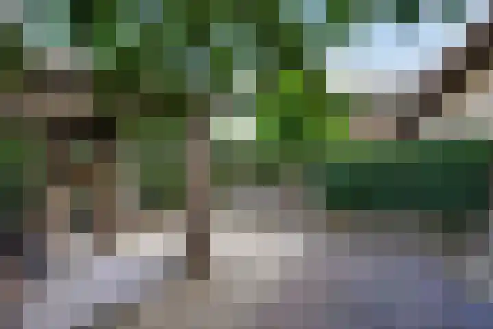 Kerkstraat 6 Sprang-Capelle thumbnail 69