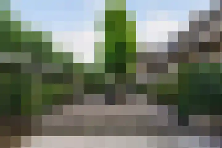 Kerkstraat 6 Sprang-Capelle thumbnail 70