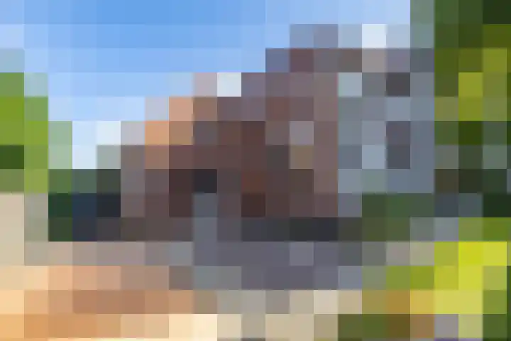Kerkstraat 6 Usquert thumbnail 55