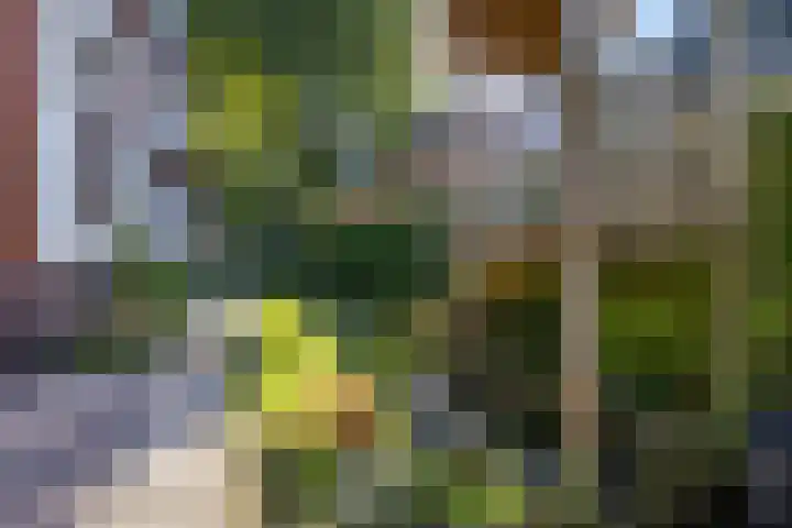 Kerkstraat 6 Usquert thumbnail 56