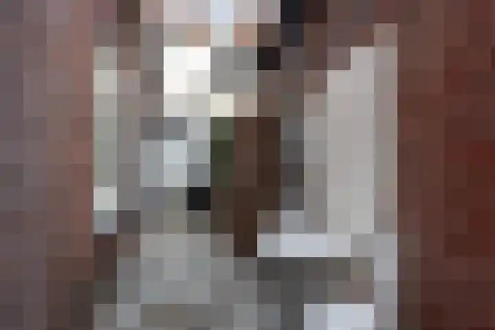 Kerkstraat 6 Vianen thumbnail 15