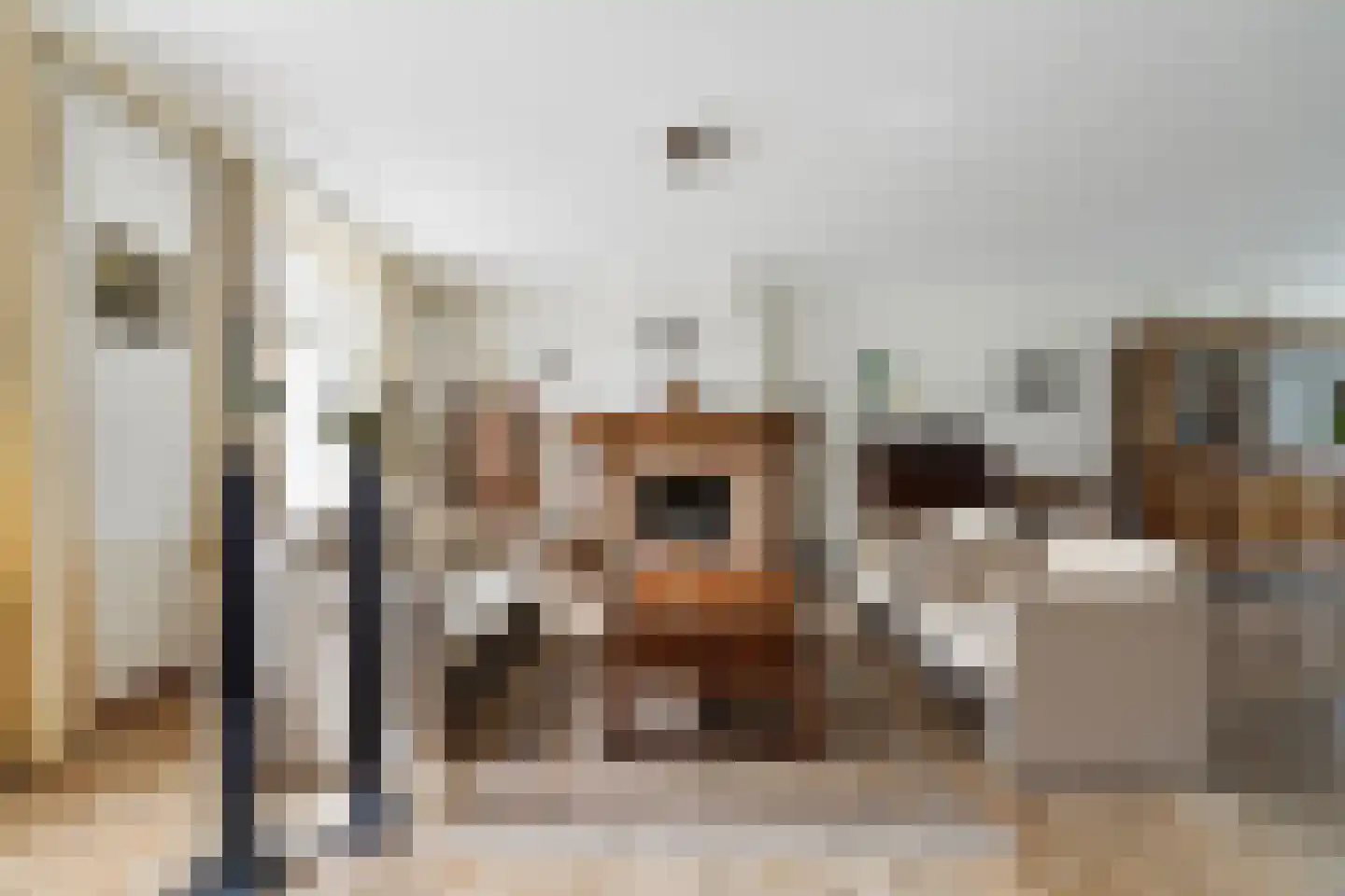 Kerkstraat 6 Waspik thumbnail 13