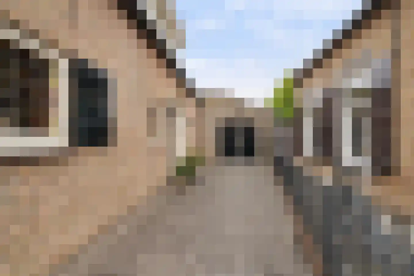 Kerkstraat 6 Waspik thumbnail 4