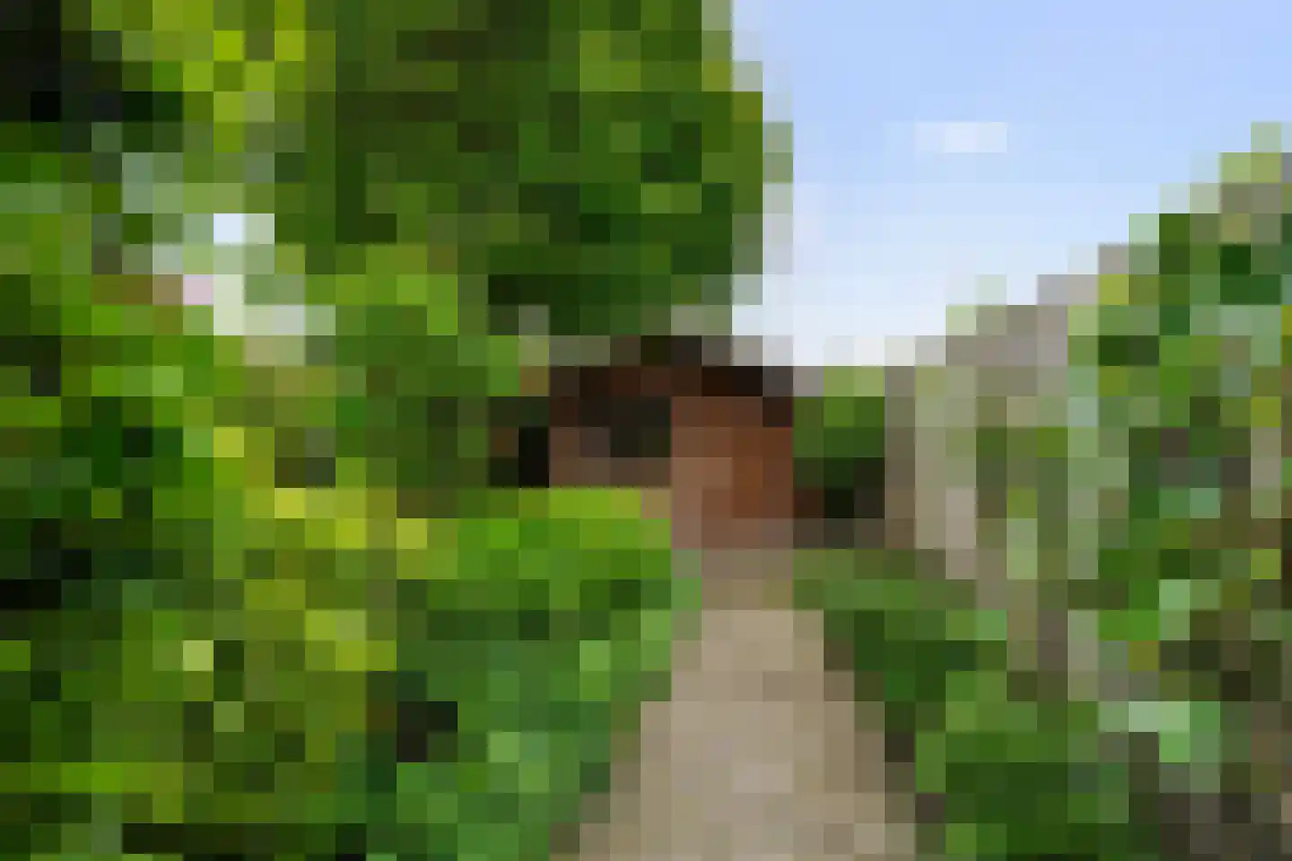 Kerkstraat 6 Waspik thumbnail 41