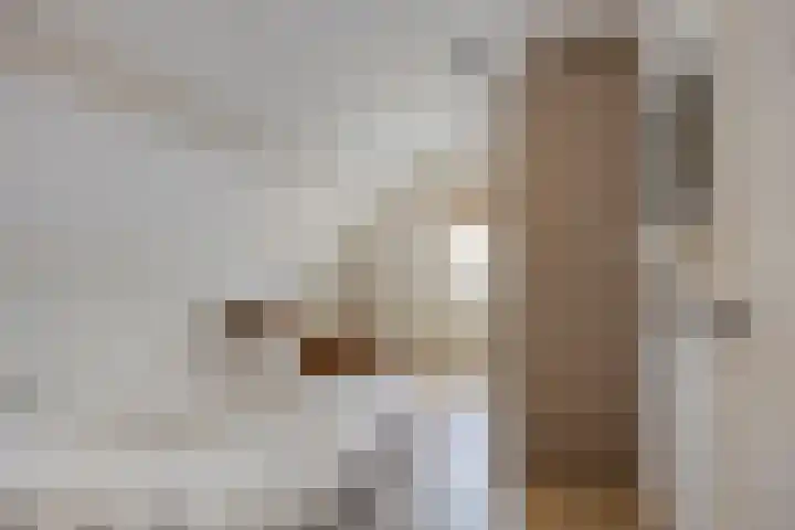 Kerkstraat 6 Zaltbommel thumbnail 24