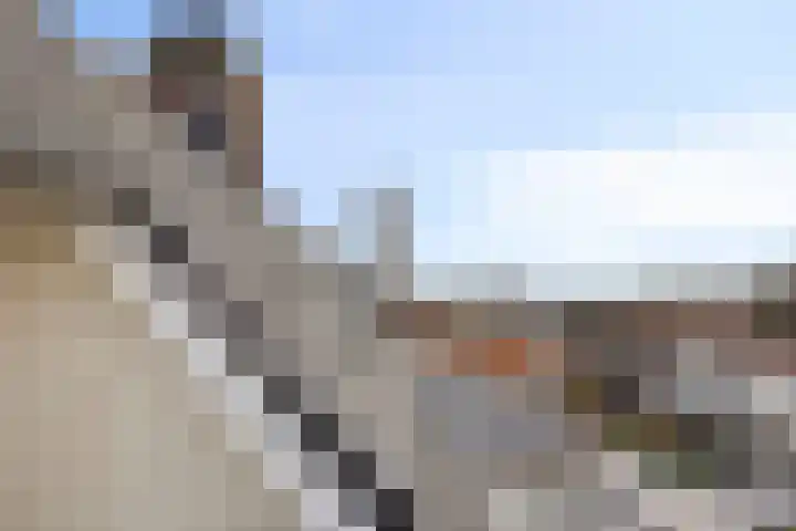 Kerkstraat 6 Zaltbommel thumbnail 33