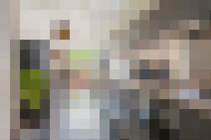 Kerkstraat 60 A Mierlo thumbnail 20