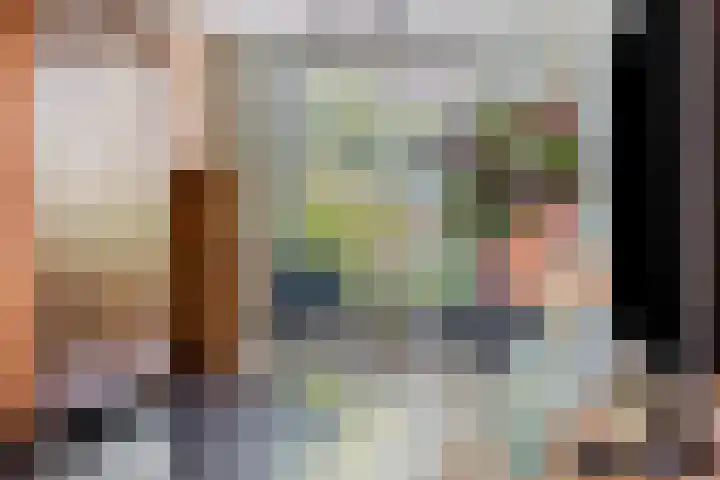 Kerkstraat 60 A Mierlo thumbnail 21