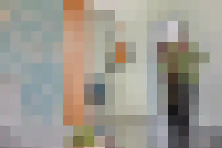 Kerkstraat 60 A Mierlo thumbnail 22