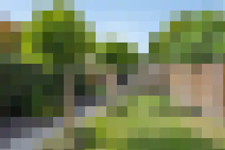 Kerkstraat 60 A Mierlo thumbnail 39