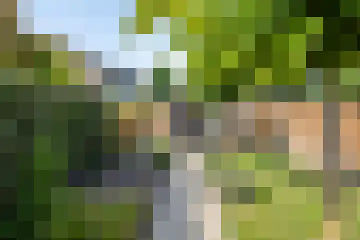 Kerkstraat 60 A Mierlo thumbnail 40