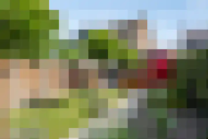 Kerkstraat 60 A Mierlo thumbnail 41