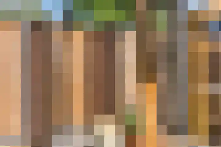 Kerkstraat 60 A Mierlo thumbnail 47