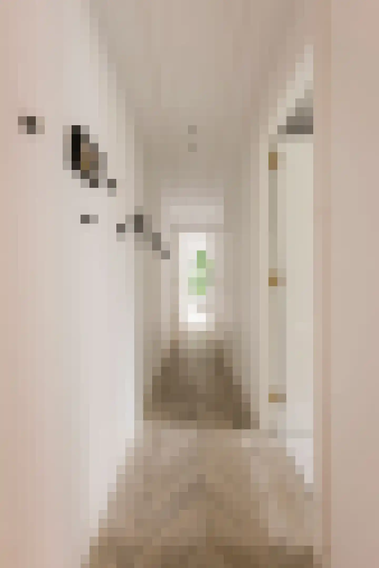 Kerkstraat 60 C Amsterdam thumbnail 15