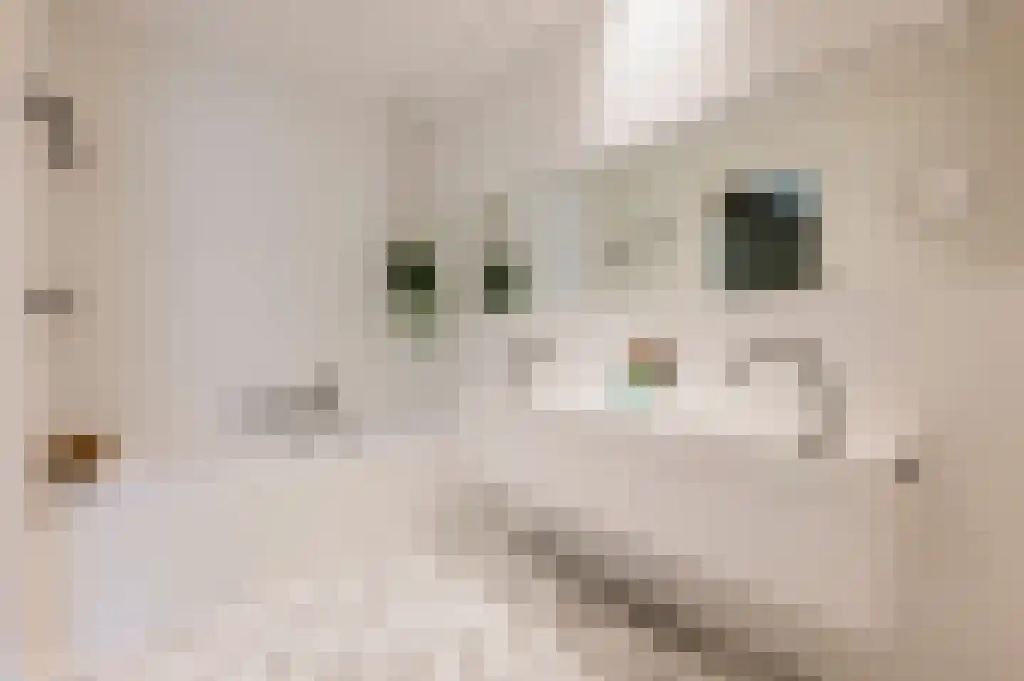 Kerkstraat 60 C Amsterdam thumbnail 18