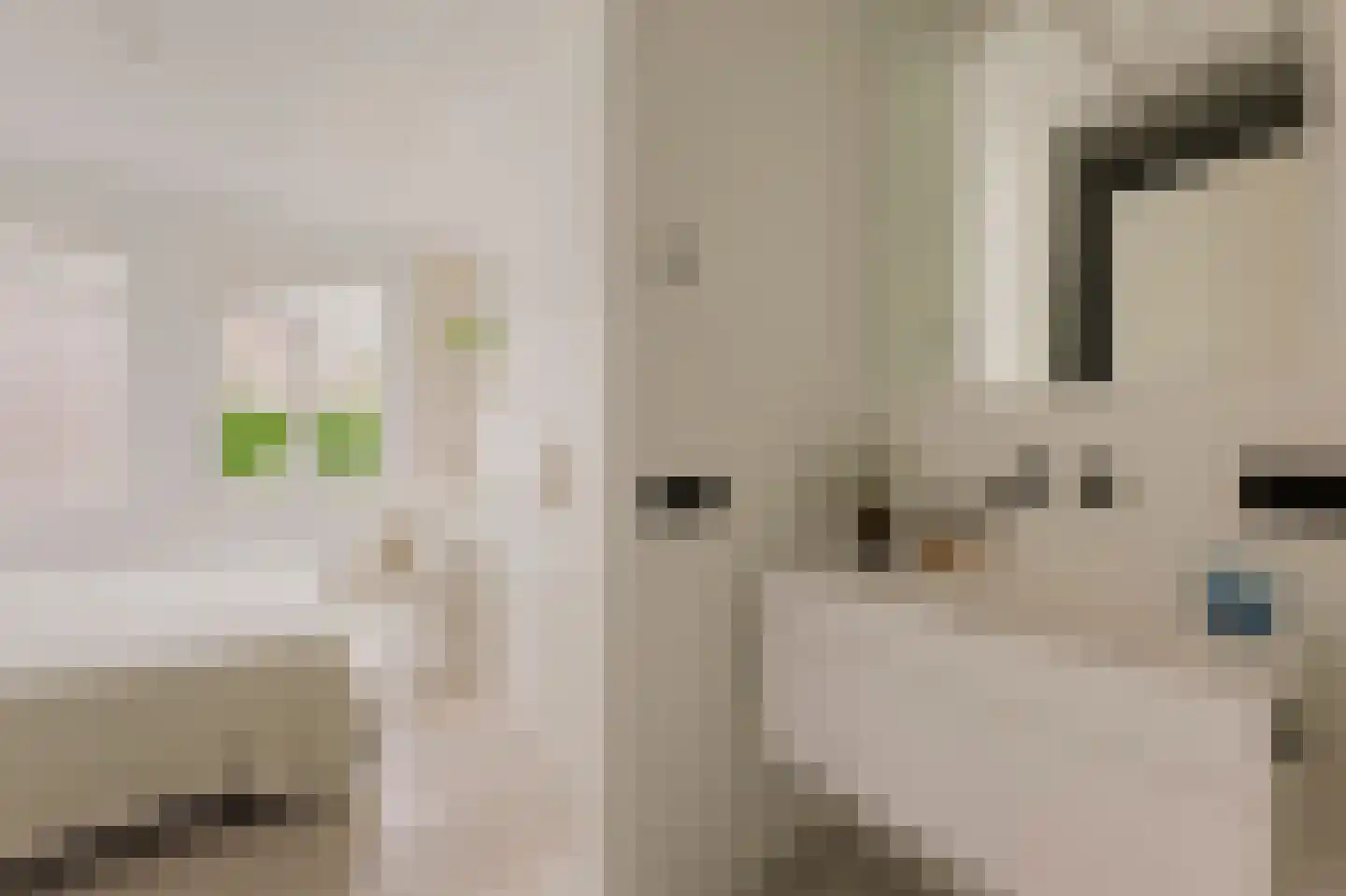 Kerkstraat 60 C Amsterdam thumbnail 21