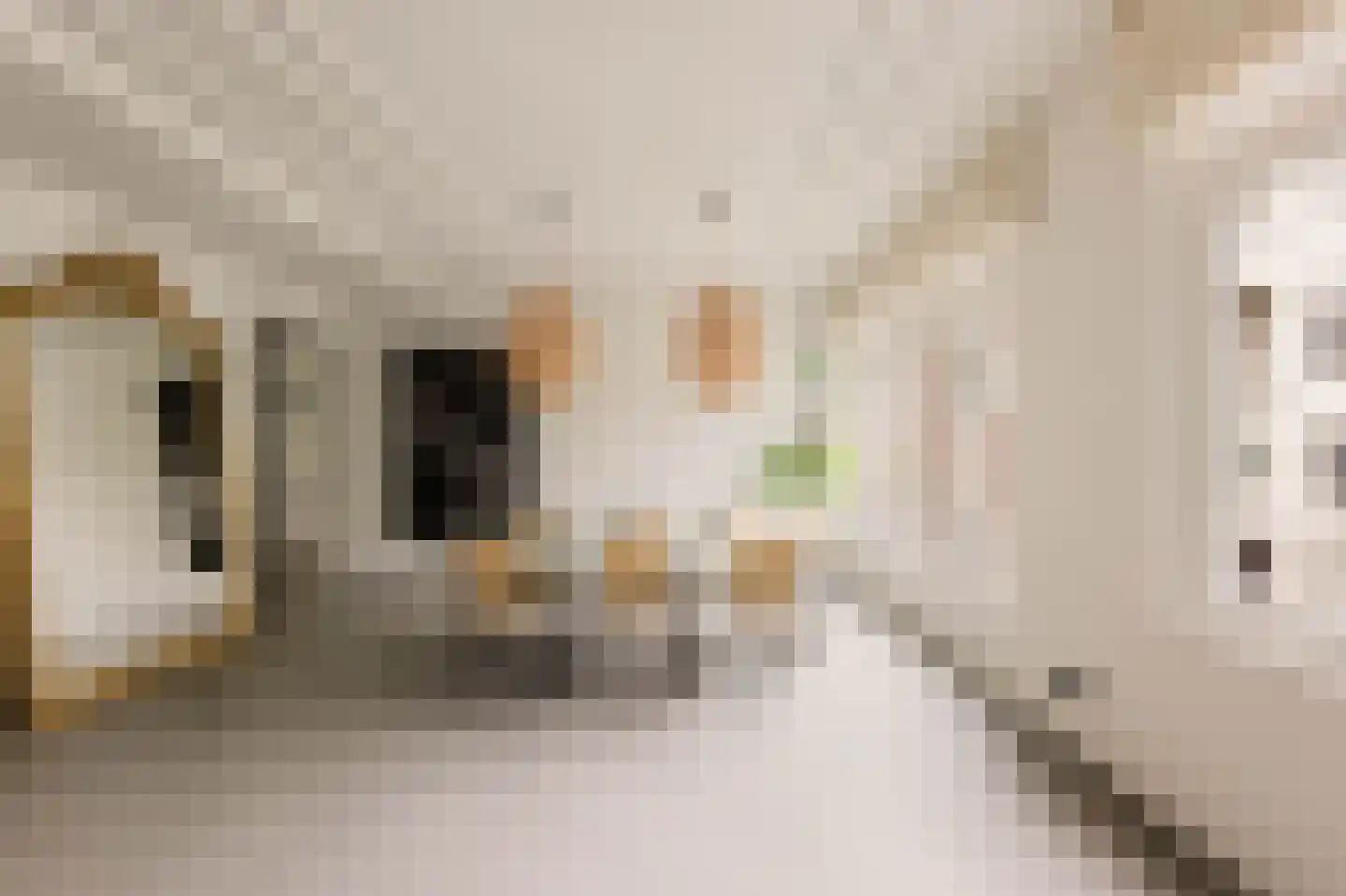 Kerkstraat 60 C Amsterdam thumbnail 6