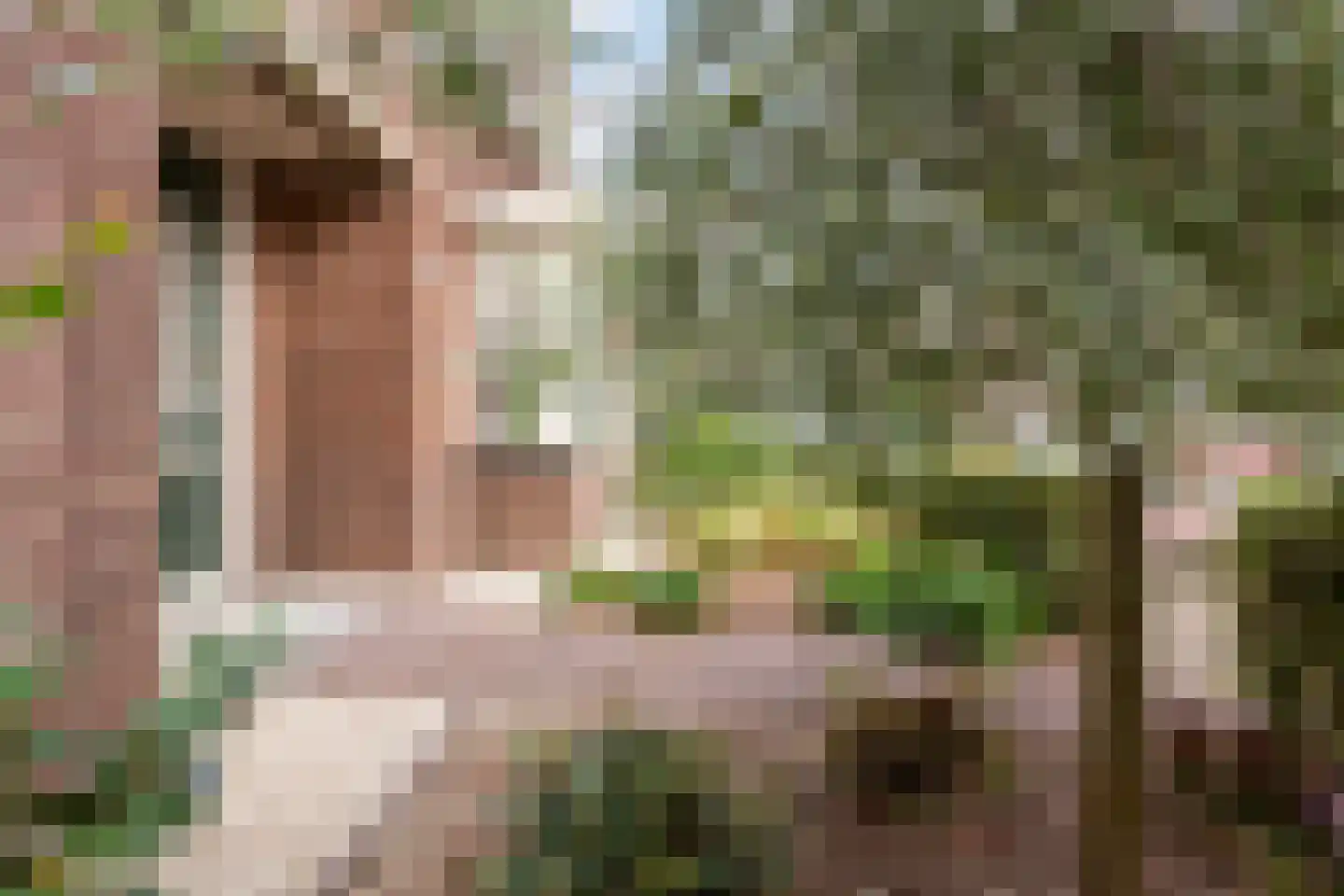 Kerkstraat 60 Putten thumbnail 46