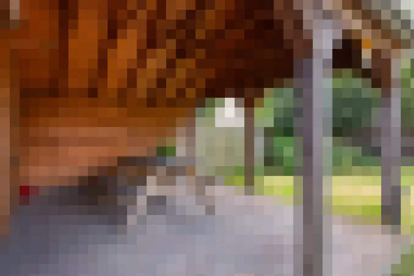 Kerkstraat 60 Putten thumbnail 46