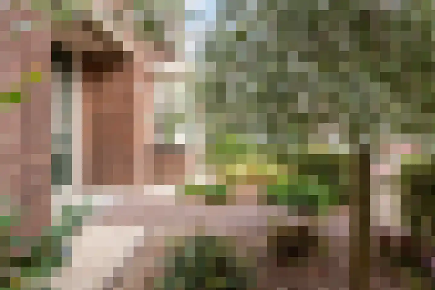 Kerkstraat 60 Putten thumbnail 47