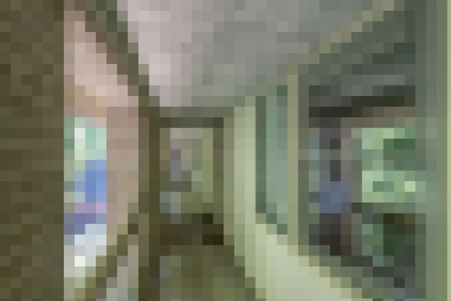 Kerkstraat 62 Alkmaar thumbnail 26