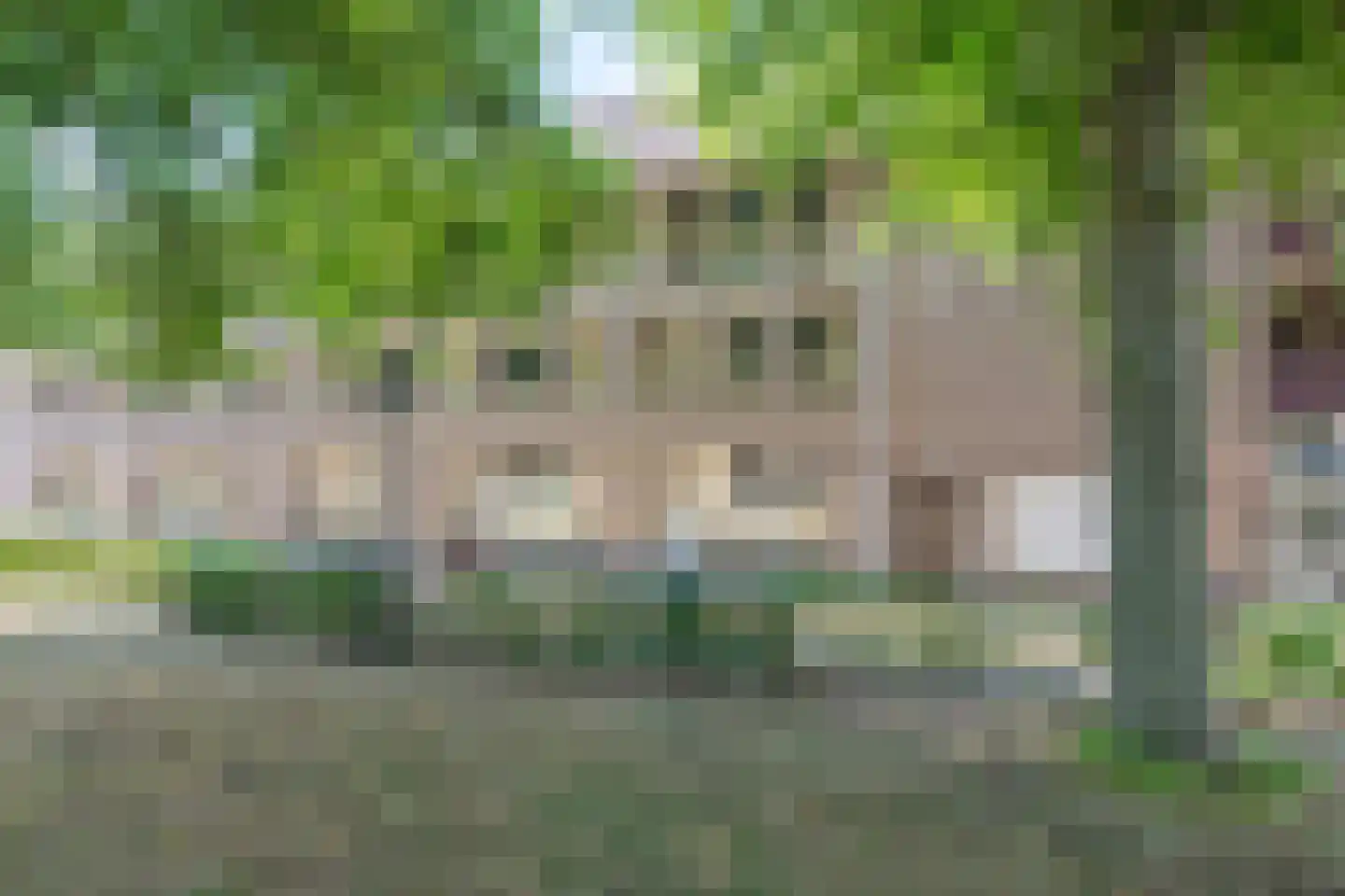 Kerkstraat 62 Alkmaar thumbnail 30