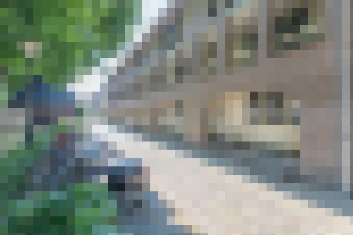 Kerkstraat 62 Alkmaar thumbnail 31