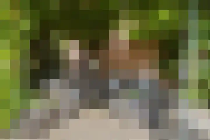 Kerkstraat 62 Oud Gastel thumbnail 39
