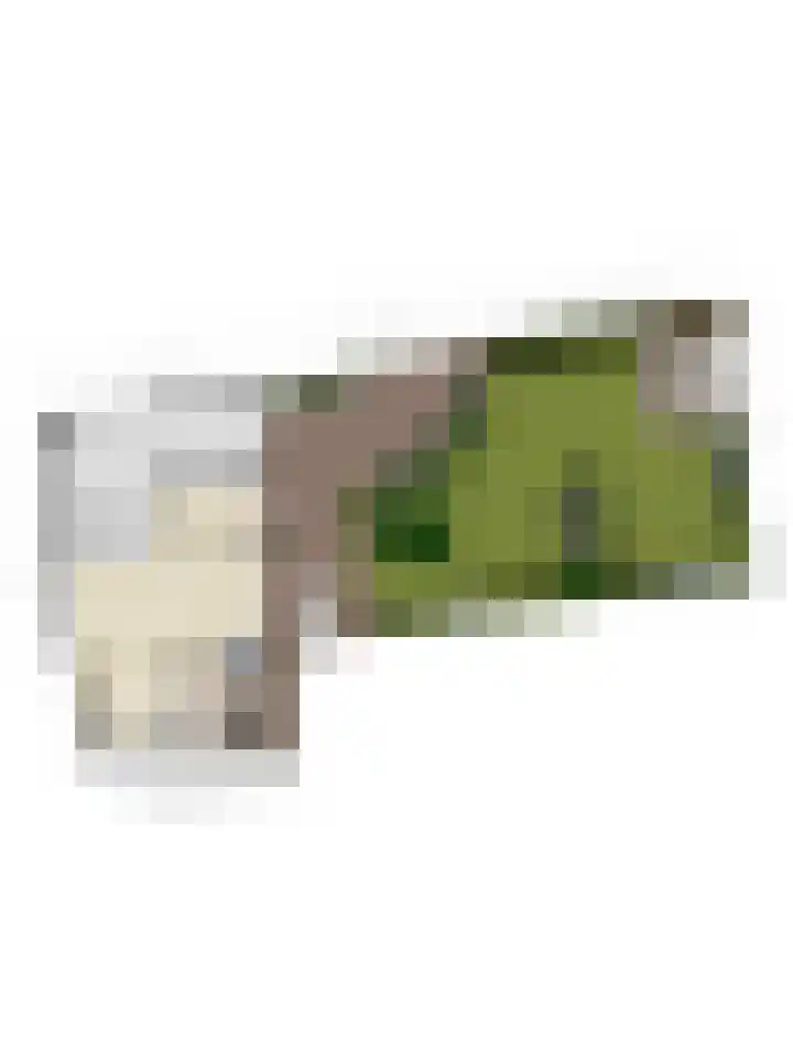 Kerkstraat 62 Oud Gastel thumbnail 49