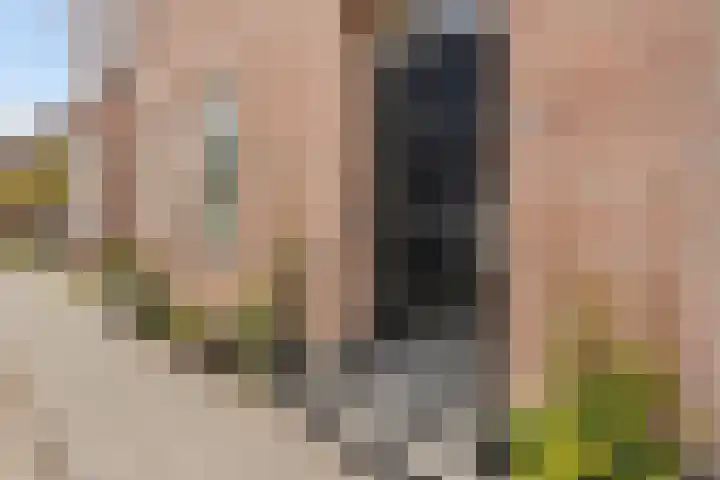 Kerkstraat 62 Oud Gastel thumbnail 9