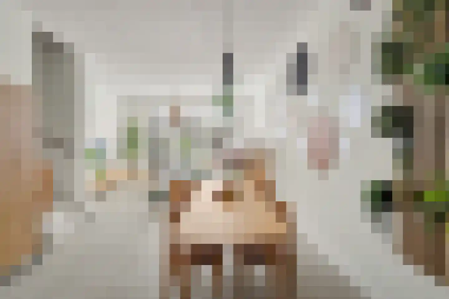 Kerkstraat 63 Goirle thumbnail 17