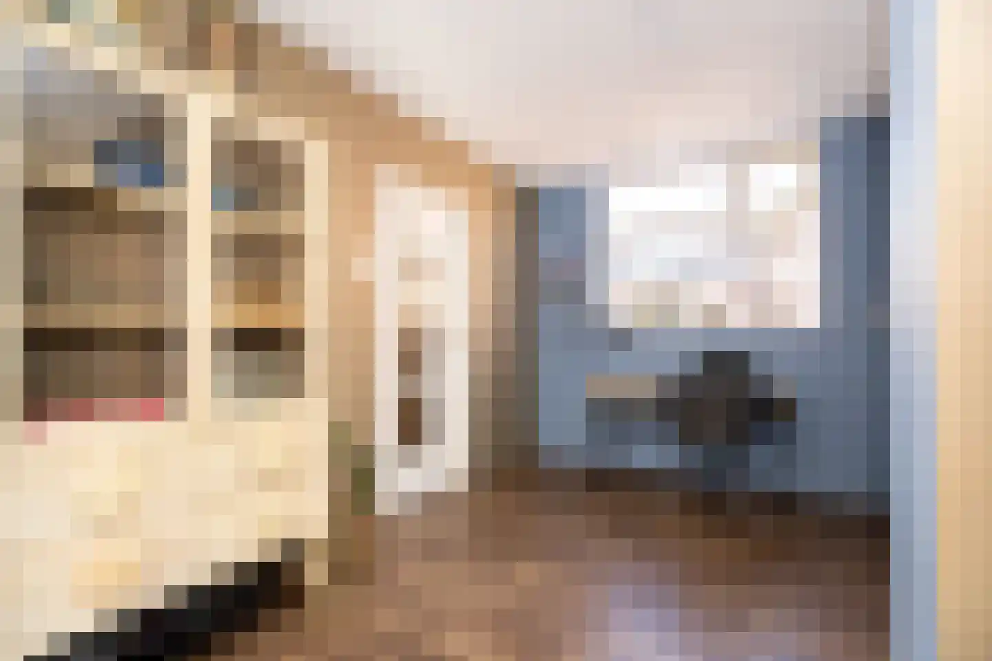 Kerkstraat 63 Wognum thumbnail 20