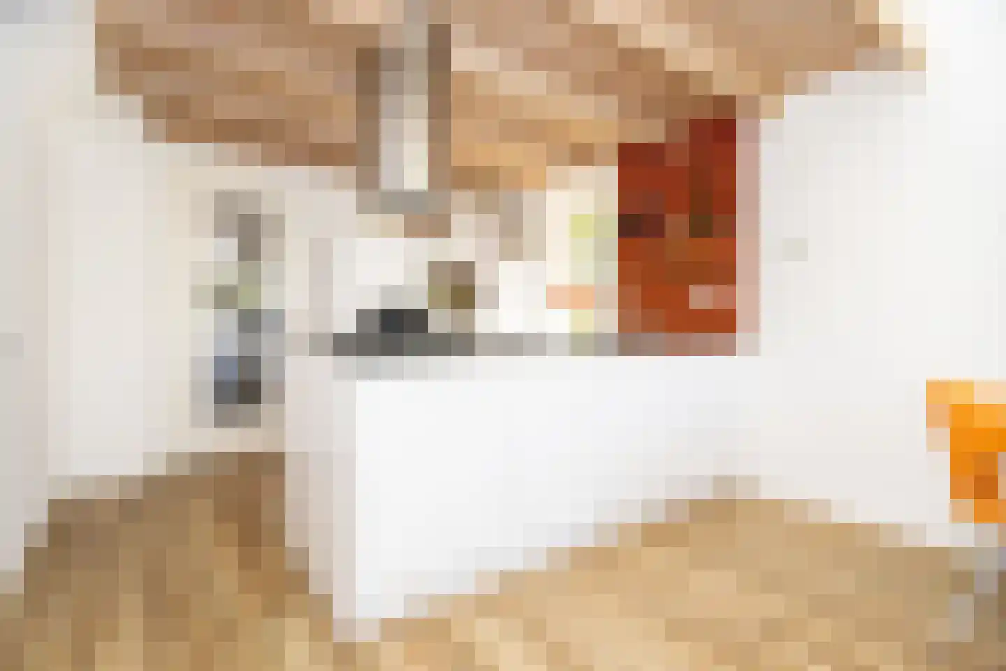 Kerkstraat 63 Wognum thumbnail 27