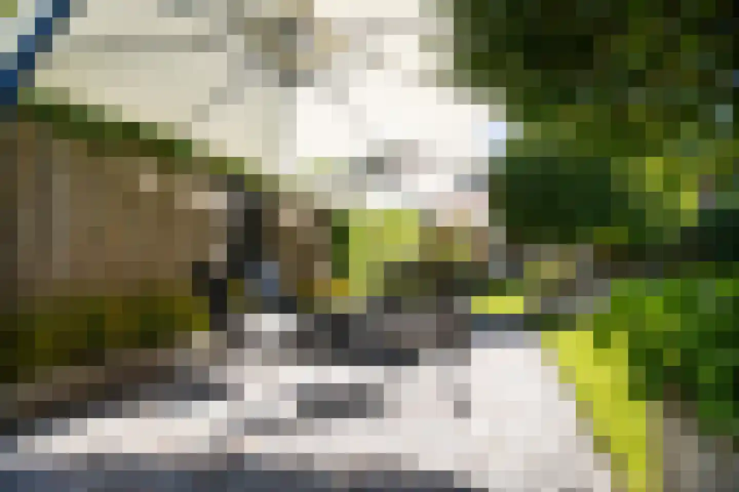 Kerkstraat 63 Wognum thumbnail 60