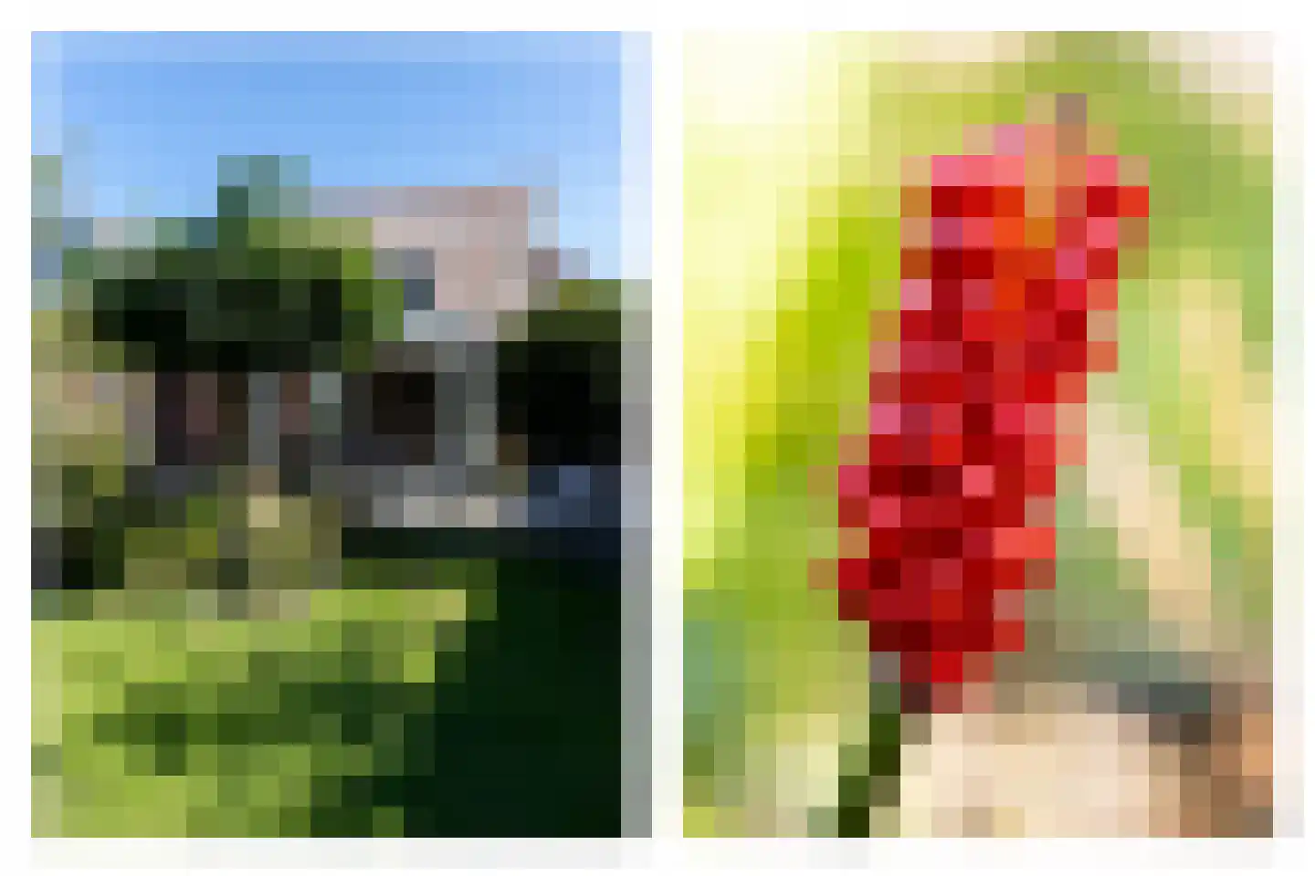 Kerkstraat 63 Wognum thumbnail 64