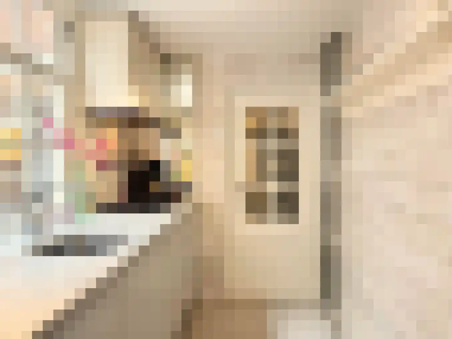 Kerkstraat 64 Amsterdam thumbnail 15