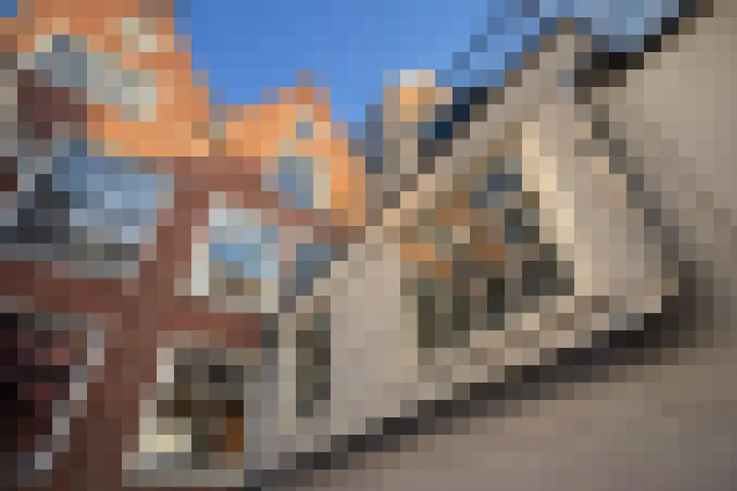 Kerkstraat 64 Amsterdam thumbnail 26