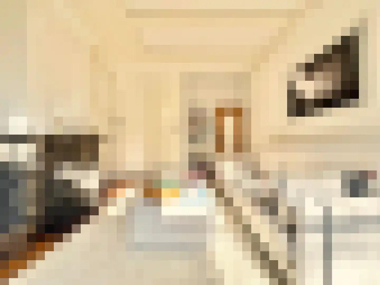Kerkstraat 64 Amsterdam thumbnail 30