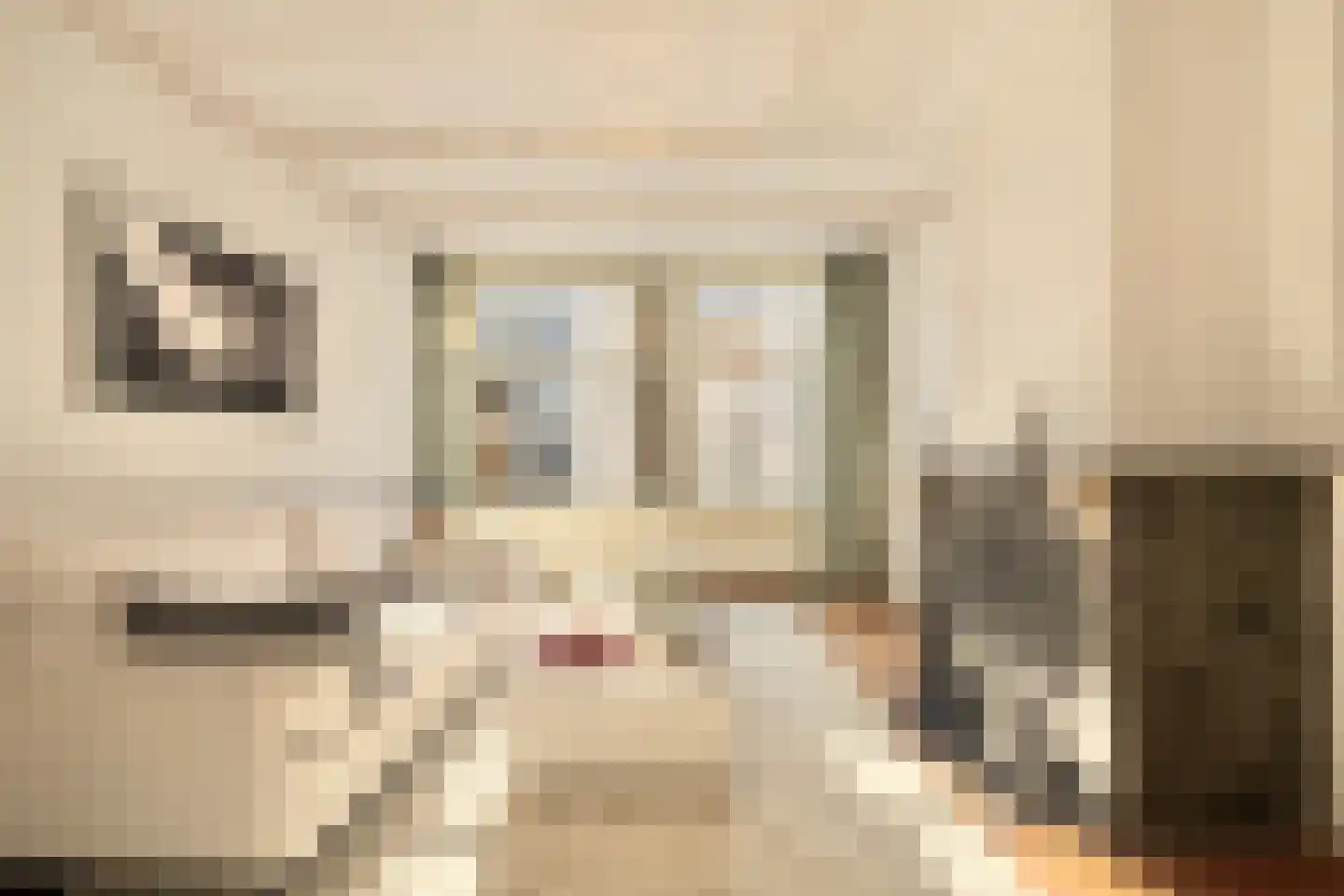Kerkstraat 64 Amsterdam thumbnail 35
