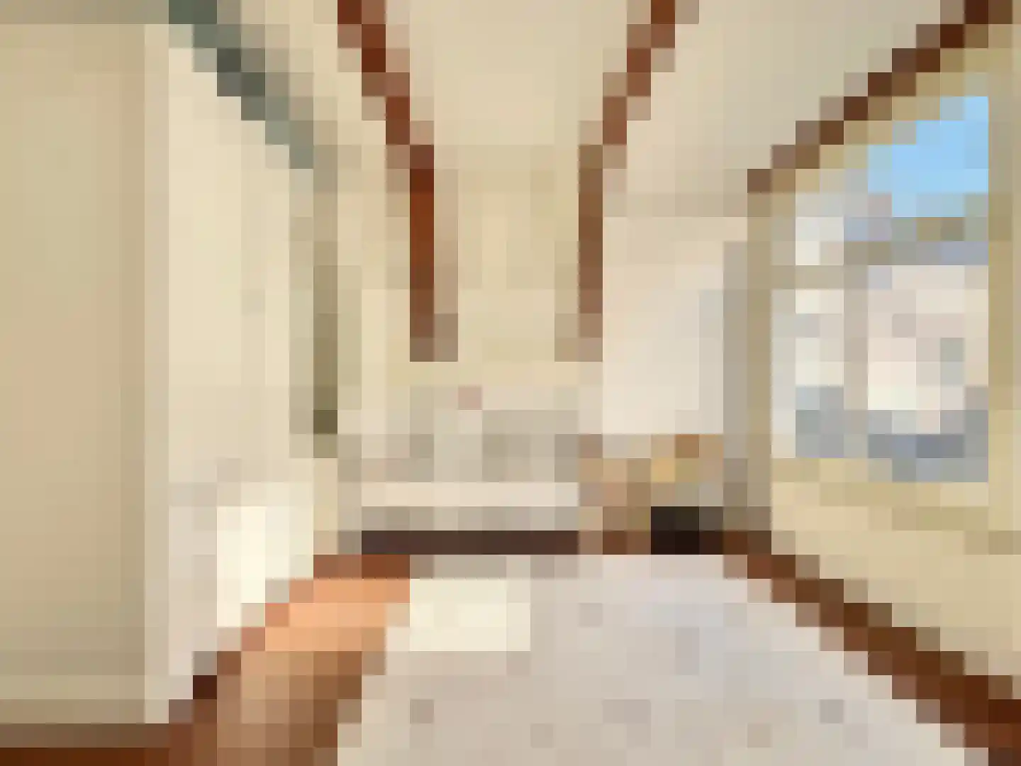 Kerkstraat 64 Amsterdam thumbnail 36