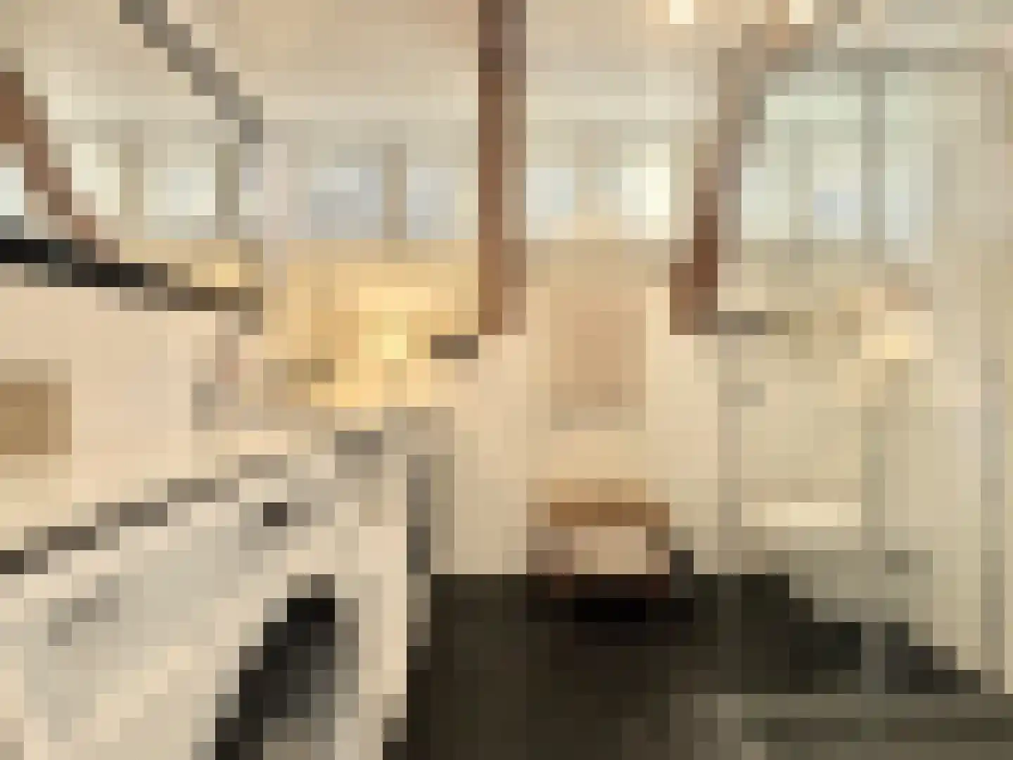 Kerkstraat 64 Amsterdam thumbnail 43