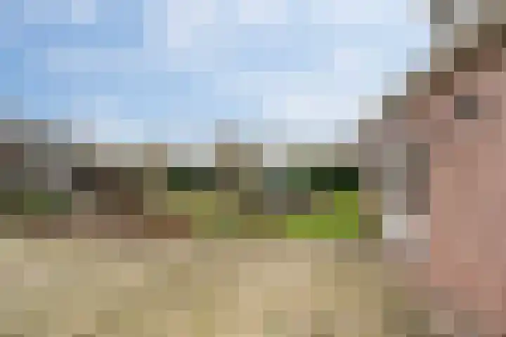 Kerkstraat 64 Ossendrecht thumbnail 6